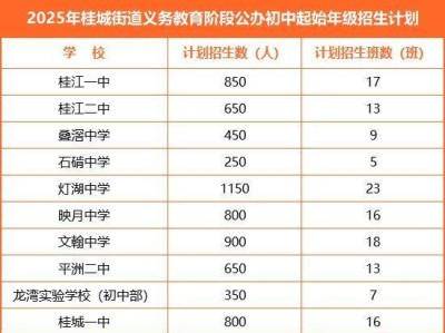 2025年桂城街道公办中学报名指南