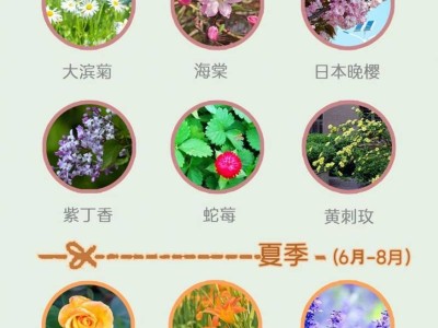 2025天津中新生态城赏花时间表