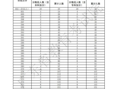 2025年广东省高考音乐表演(器乐)方向一分一段表