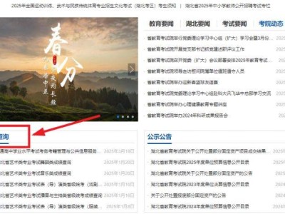 2025湖北高考体测成绩查询及网站入口