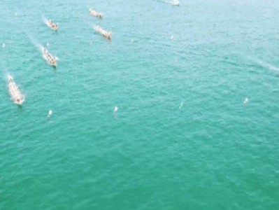 南澳龙舟赛2025时间