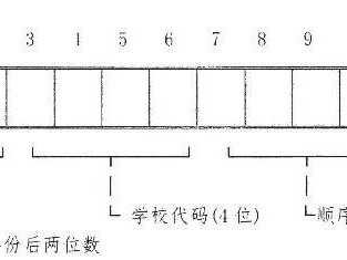 武汉中考报名号是什么？