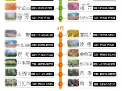 2025武义花田美地春日赏花时间