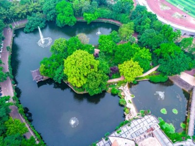 2025年重庆各大学招生计划