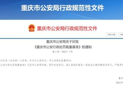 重庆违章罚款打折入口