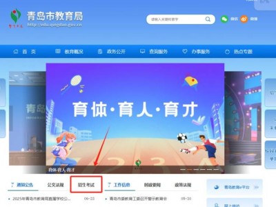 2025青岛中考查分方式汇总