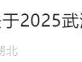 武汉马拉松交通管理时间及区域路段2025
