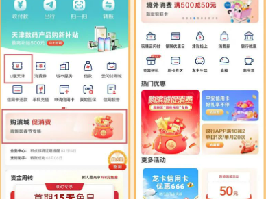 2025天津滨海高新区春节消费券领券时间
