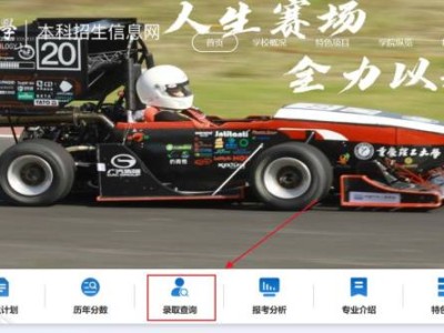 重庆理工大学录取结果查询系统入口