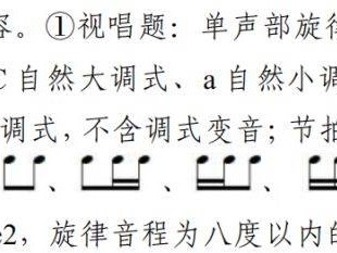 2025中山中考艺术生音乐专业声乐类考试说明（考试科目/评分标准）
