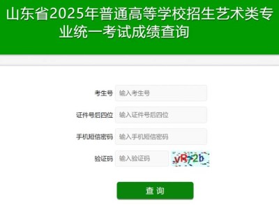 2025山东艺考统考成绩查询(时间+查询入口)