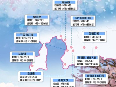 无锡历年樱花开放时间汇总