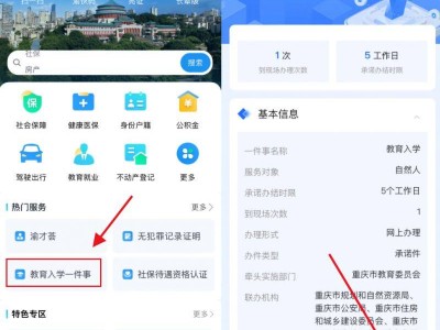 2025重庆南岸区小学报名系统官网