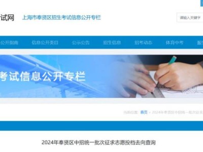 上海奉贤区中考录取结果查询官网网址2025
