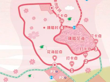 2025金华横腊花海赏花攻略