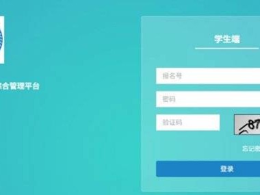 2025武汉中考查分入口+查分时间