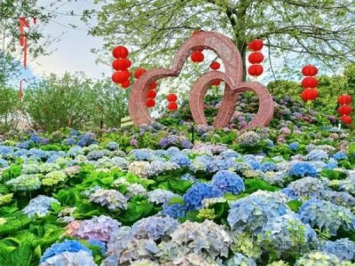 东莞香遇百花园春日赏花攻略（开放时间+门票+花期）