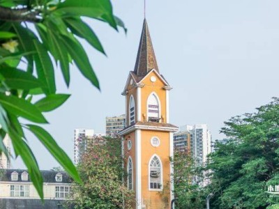 2025深圳南山区迎春花市时间+地点+看点