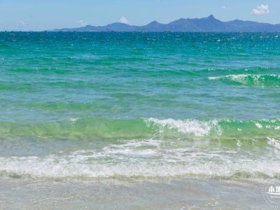 深圳西涌沙滩端午节开放时间是多少