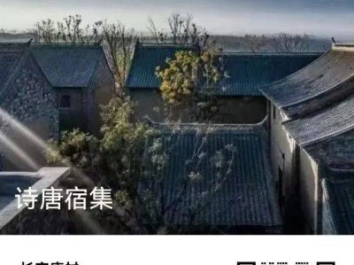 2025长安唐村端午特别活动（时间+地点）