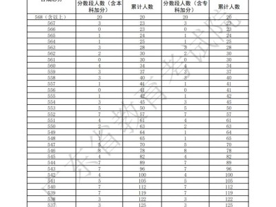2025广东高考音乐表演(器乐)方向总分一分一段表