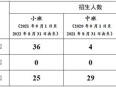 2025东莞望牛墩镇公办幼儿园年招生补招方案