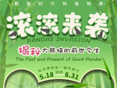 2025常州博物馆熊猫科普特展时间+地点