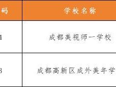 2025年成都高新区民办学校小升初空余计划一览表