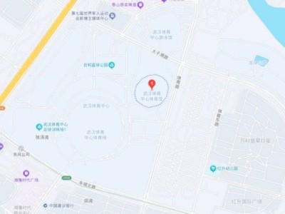 刀郎武汉演唱会在哪个场馆举办2025