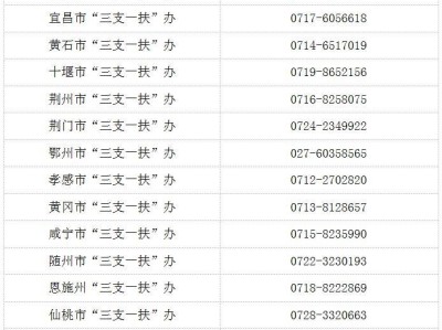 湖北省2025年度招募选派“三支一扶”高校毕业生
