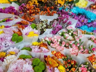 2025深圳龙岗迎春花市时间、地点、开放时间