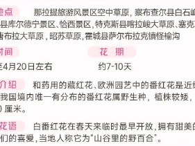 伊犁春季赏花花期攻略(赏花时间+花期+地点)