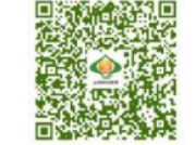 2025松江区小学初中招生入学实施细则详解