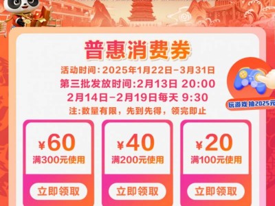 2025年贵州政府消费券第三批次发放时间