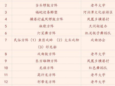 2025岳阳河泊潭喜乐元宵(时间+地点)