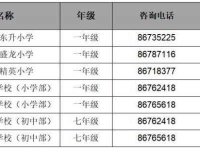 2025东莞各镇街参与第二轮补录的民办学校名单汇总（持续更新）
