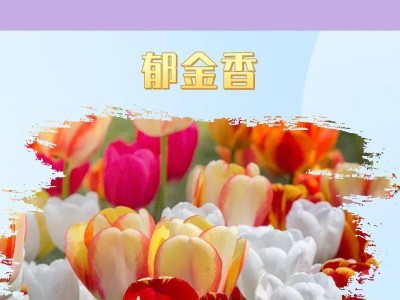 太原春天赏花地图攻略