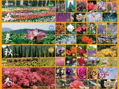 2025常州花谷奇缘赏花花期时间(最新)