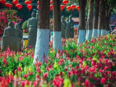 厦门仙岳山公园金鱼草花海打卡指南(时间+地点+交通)