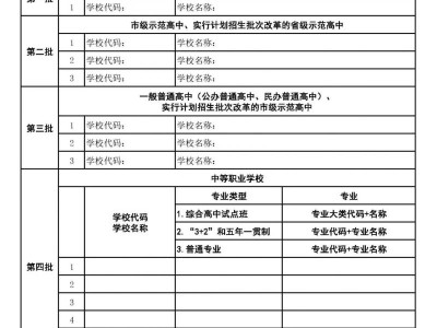 2025武汉中考填报志愿表模板
