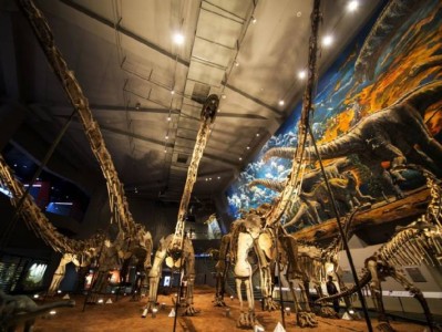 2025重庆自然博物馆一日游攻略（开放时间+门票+路线）