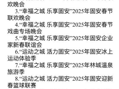 2025固安春节无人机飞行表演时间