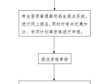 2025河北高考报名流程