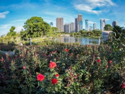 香蜜公园赏花时间介绍