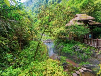 2025重庆酉阳景区38妇女节免门票活动时间+内容