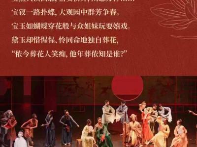 2025端午节廊坊芭蕾舞剧红楼梦（演出时间+购票入口）