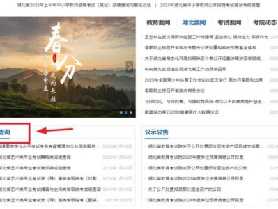 湖北省教育考试院教资笔试成绩复核结果怎么查询?