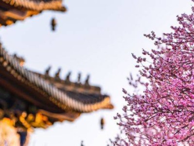 南京明孝陵梅花山赏花攻略(开放时间+赏梅路线+门票)