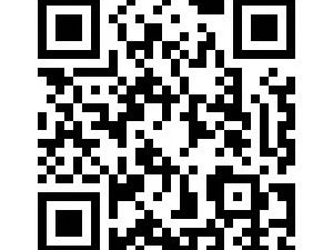 2025郑州荷园幼儿园秋季招生指南