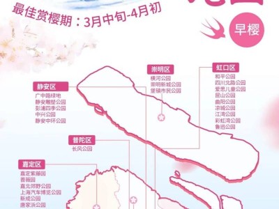 2025上海赏樱地图(早樱+中樱+晚樱)